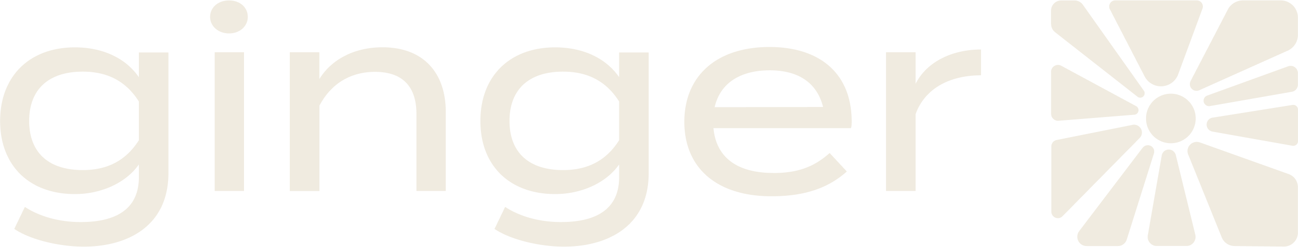 Ginger